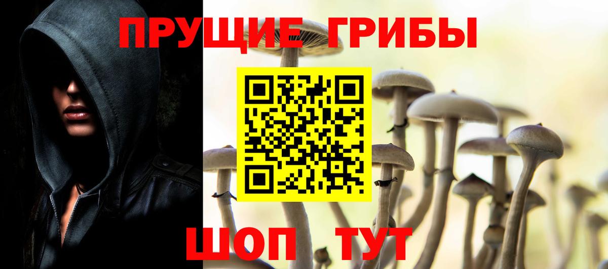 Псилоцибиновые грибы мицелий  Вход с VPN  Новозыбков  Псилоцибиновые грибы ЛСД 