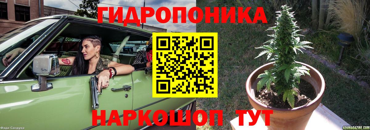 Шишки марихуана Ganja  Вход с VPN  Каннабис AK-47  МАРИХУАНА гибрид  МАРИХУАНА марихуана  Новозыбков 