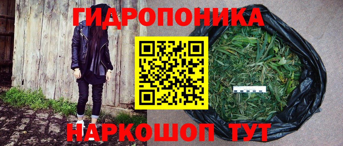 Бошки марихуана семена Новозыбков